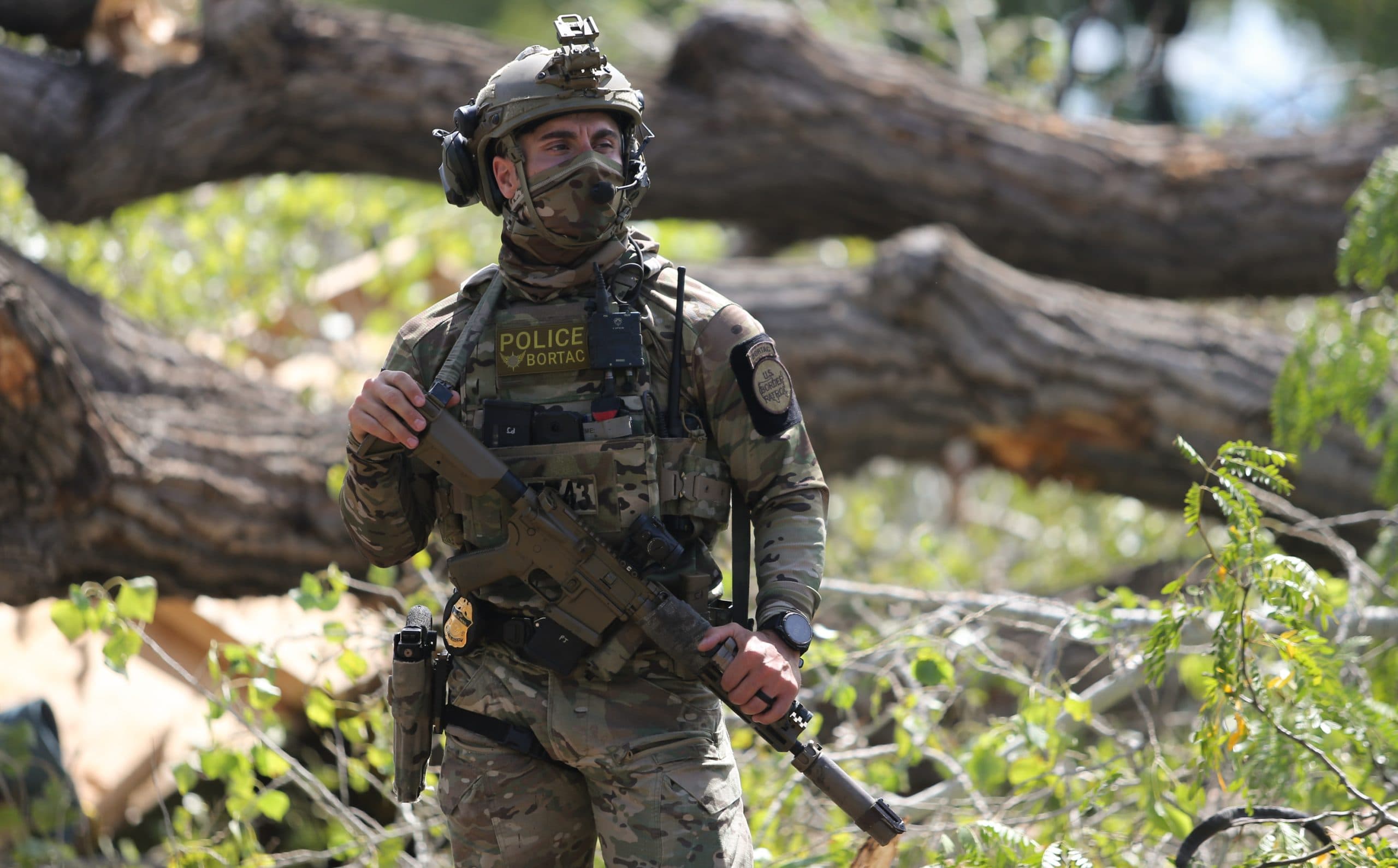 Tree-sitter forcibly removed by Border Patrol, 200-year-old cottonwood felled for border wall