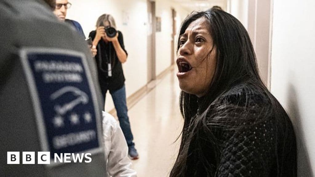 Wife shoved to ground by ICE officer in New York courthouse hallway