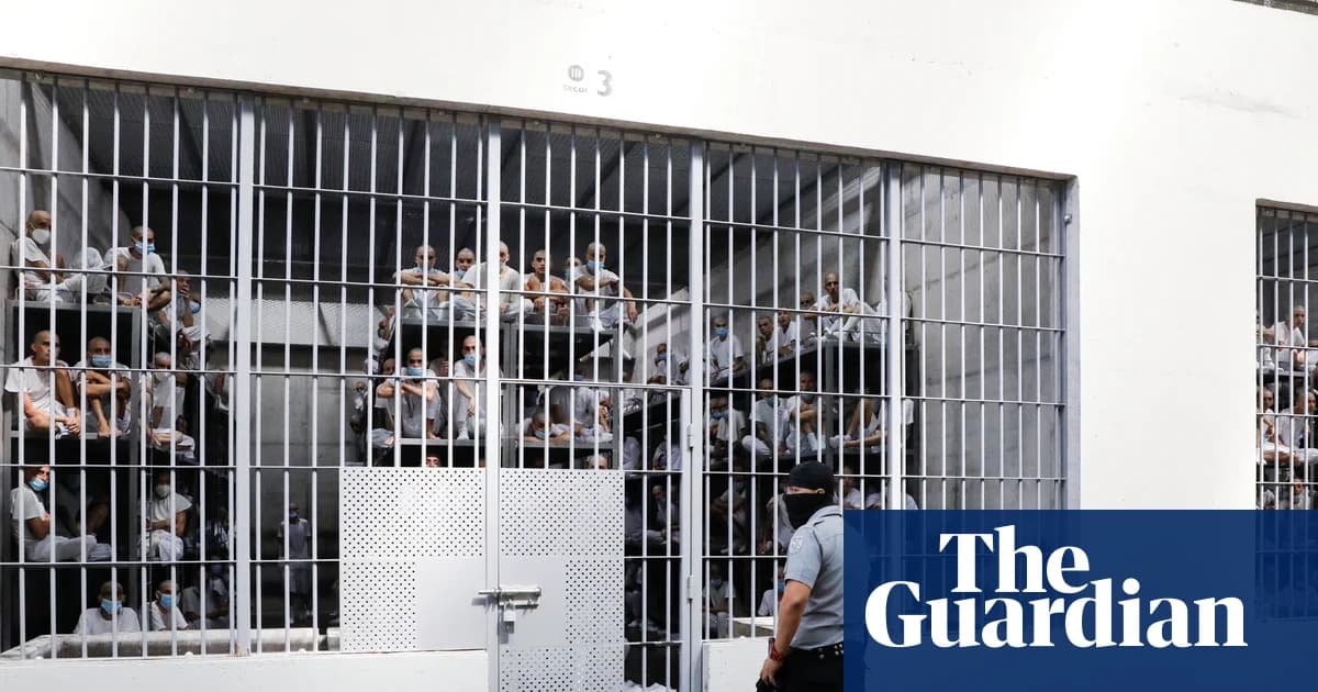 18 Venezuelan men deported to El Salvador prison allege torture, beatings