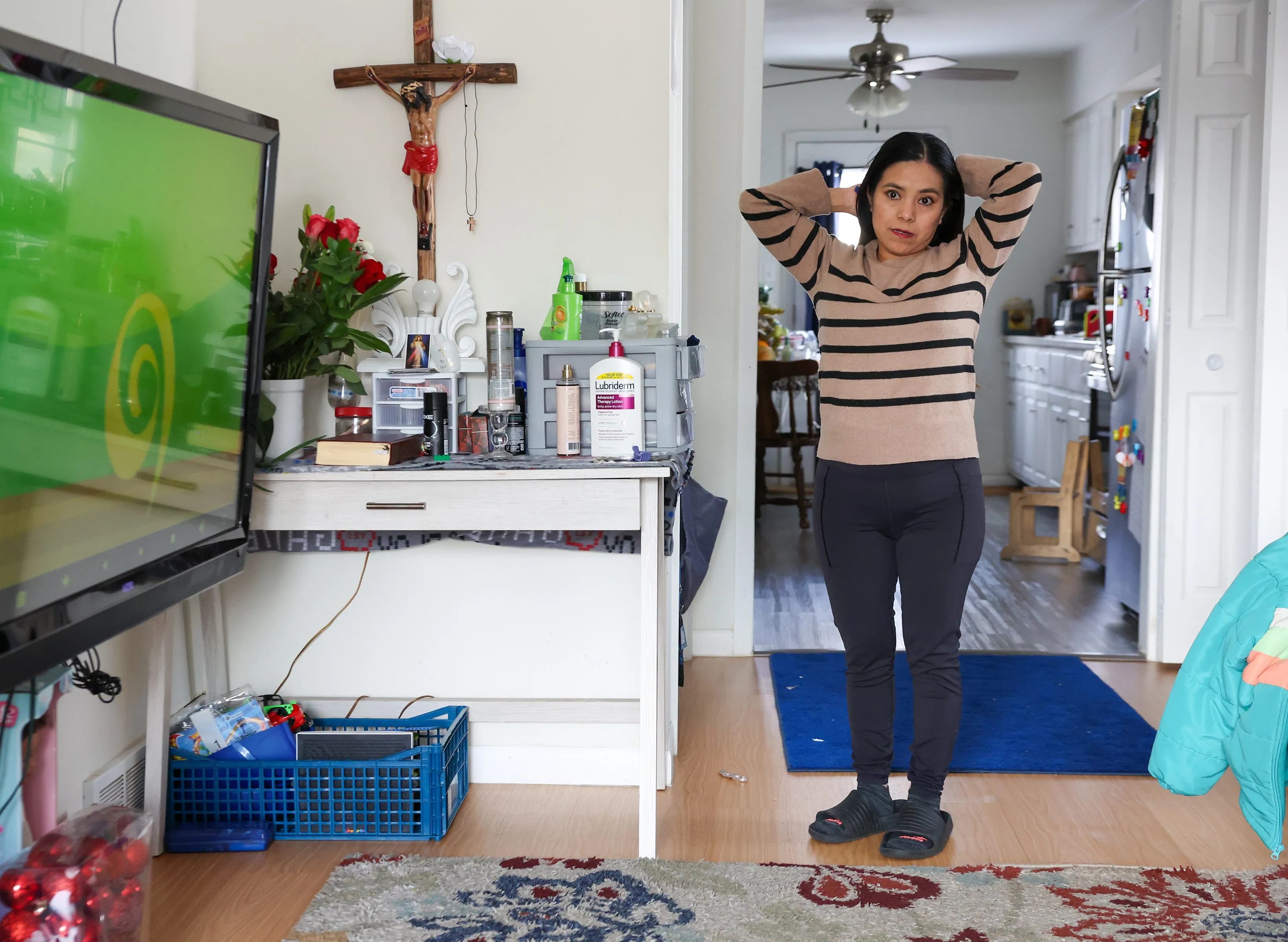 Marina L.: Asylum-seeking Chicago-area mother held seven months by ICE without evidence